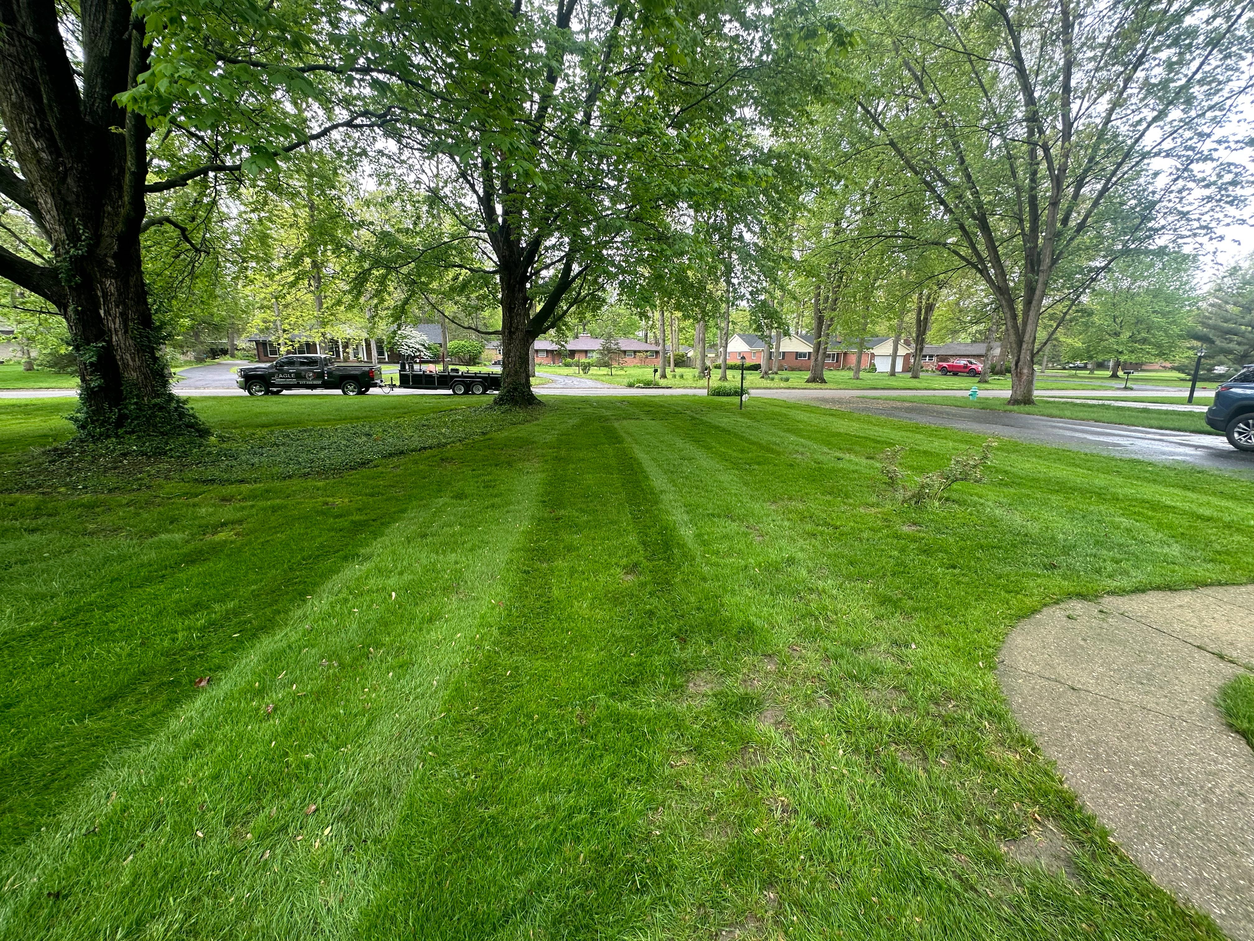Professional lawn care with perfect striping patterns